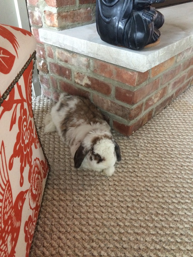 betsy flopped beside the fireplace