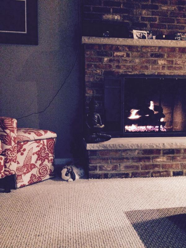 betsy beside the fireplace - tough life