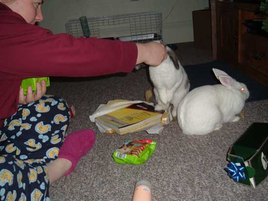 betsy begging for a treat
