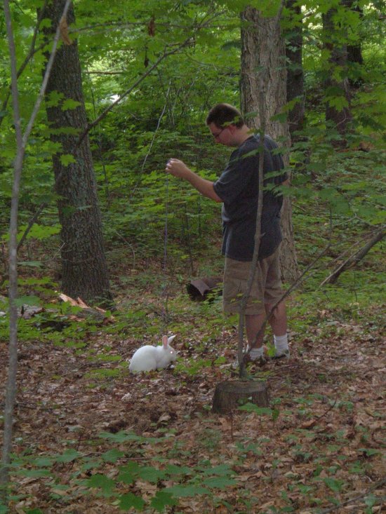 gussy and keith explore the woods