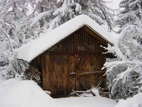 Shack in the snow