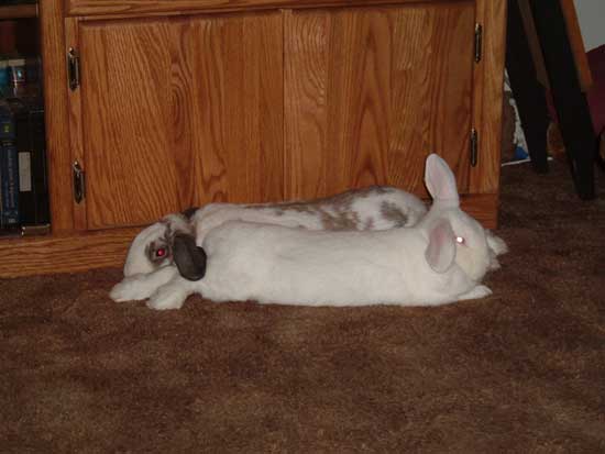 gus and betsy inside
