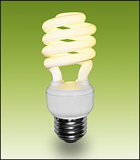 compact fluorescent bulb