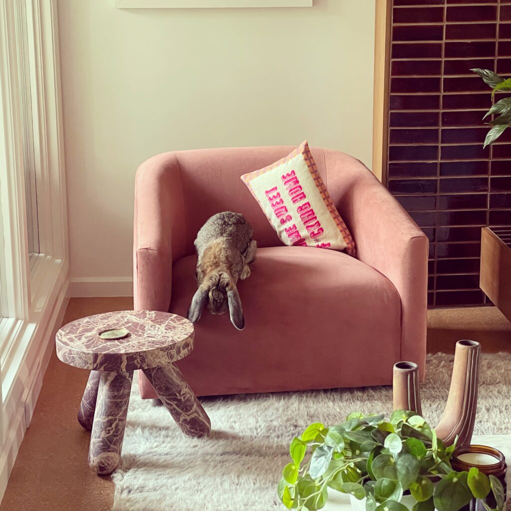 Matilda about to hop down from the chair with her long ears dangling 